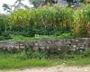 land for sale Gokarneshwor, 6 aana plot Kathmandu, Gokarna land, land near Sagarmatha gate, Kathmandu real estate, Basnet Tole land