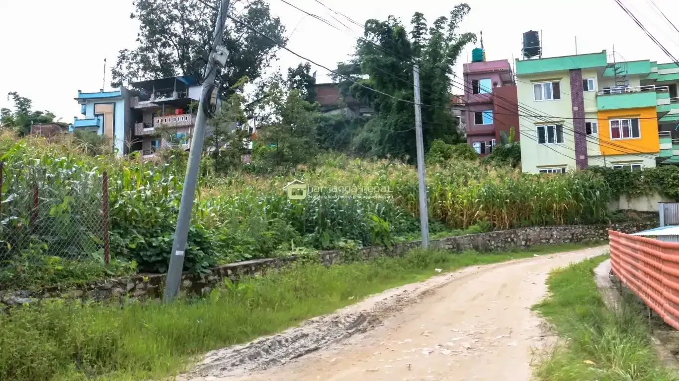land for sale Gokarneshwor, 6 aana plot Kathmandu, Gokarna land, land near Sagarmatha gate, Kathmandu real estate, Basnet Tole land