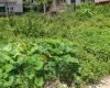 Basundhara land for sale, Bish Club Kathmandu property, Chandani Marg land, Kathmandu east-facing plot, premium land Kathmandu, near Ring Road land, land for NRNs Kathmandu, land near National Cardiac Center, real estate Basundhara, Kathmandu core city residential plot