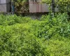 Basundhara land for sale, Bish Club Kathmandu property, Chandani Marg land, Kathmandu east-facing plot, premium land Kathmandu, near Ring Road land, land for NRNs Kathmandu, land near National Cardiac Center, real estate Basundhara, Kathmandu core city residential plot