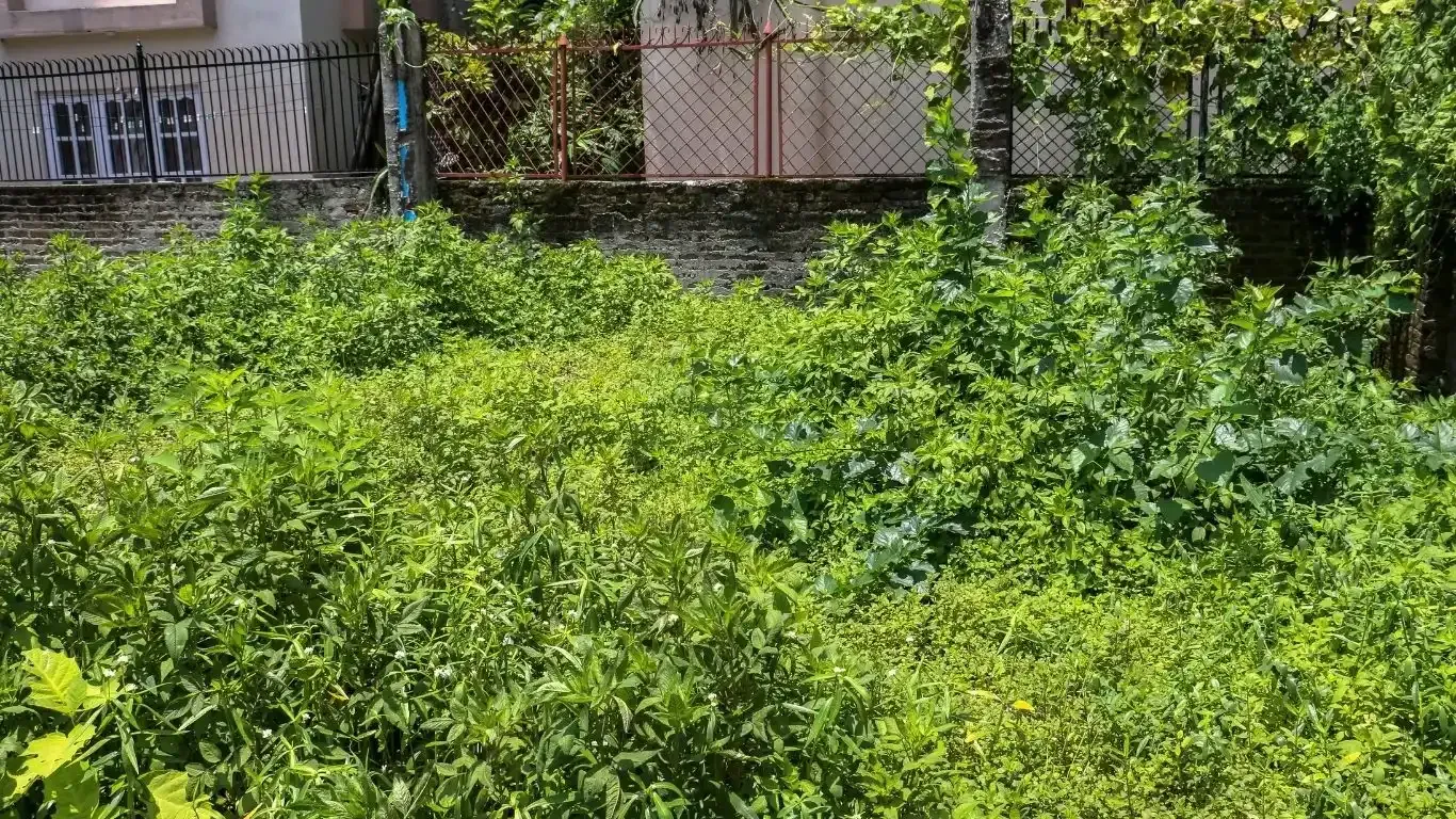 Basundhara land for sale, Bish Club Kathmandu property, Chandani Marg land, Kathmandu east-facing plot, premium land Kathmandu, near Ring Road land, land for NRNs Kathmandu, land near National Cardiac Center, real estate Basundhara, Kathmandu core city residential plot