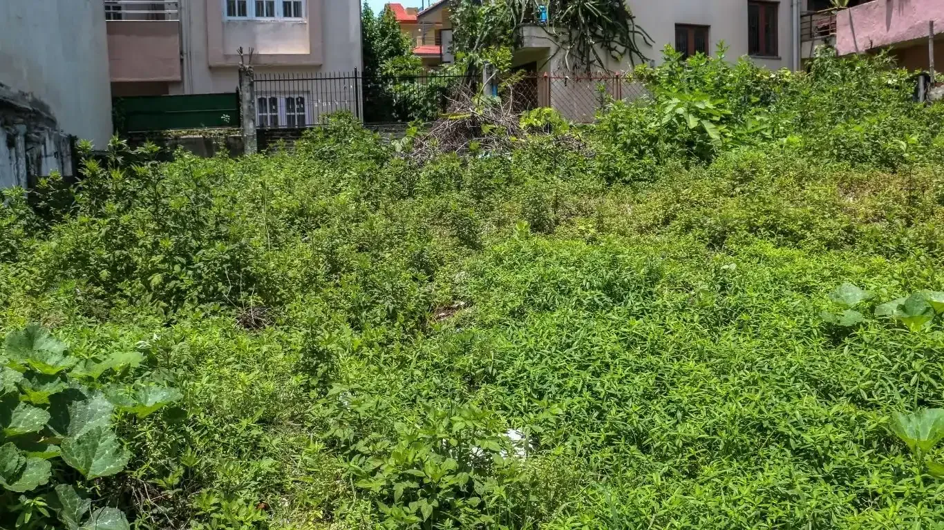Basundhara land for sale, Bish Club Kathmandu property, Chandani Marg land, Kathmandu east-facing plot, premium land Kathmandu, near Ring Road land, land for NRNs Kathmandu, land near National Cardiac Center, real estate Basundhara, Kathmandu core city residential plot