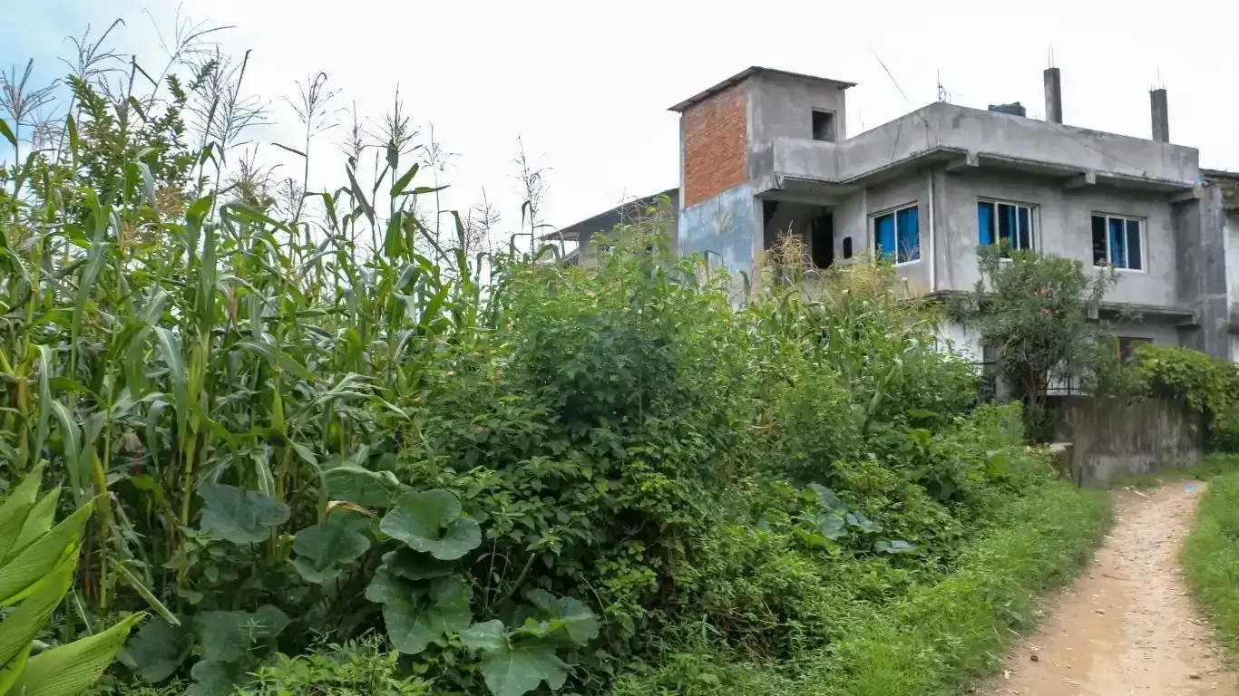 Budhanilkantha land for sale, residential plot Kathmandu, 5 aana land Bhangaal, Karyabinayak land deal, vastu-compliant land Nepal, Kathmandu real estate, land for home Kathmandu