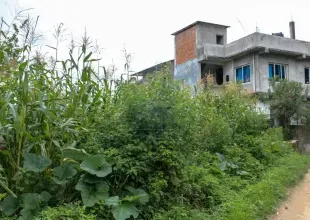 Budhanilkantha land for sale, residential plot Kathmandu, 5 aana land Bhangaal, Karyabinayak land deal, vastu-compliant land Nepal, Kathmandu real estate, land for home Kathmandu