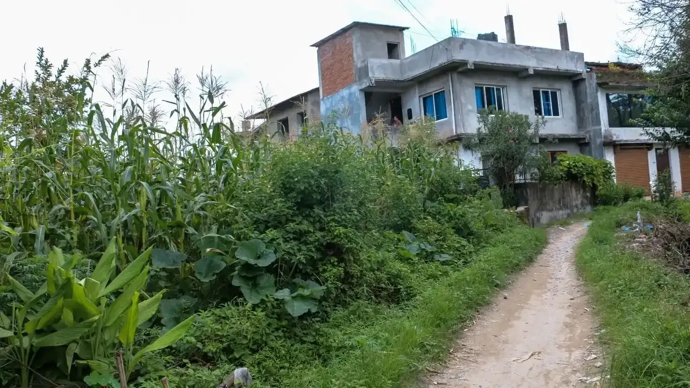 Budhanilkantha land for sale, residential plot Kathmandu, 5 aana land Bhangaal, Karyabinayak land deal, vastu-compliant land Nepal, Kathmandu real estate, land for home Kathmandu