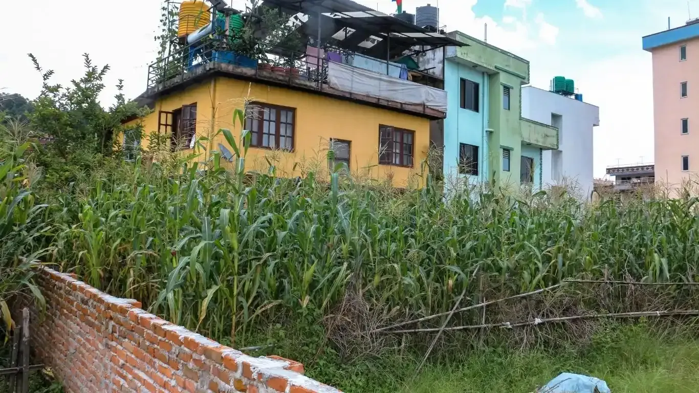 Budhanilkantha land for sale, residential plot Kathmandu, 5 aana land Bhangaal, Karyabinayak land deal, vastu-compliant land Nepal, Kathmandu real estate, land for home Kathmandu