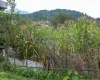 Budhanilkantha land for sale, residential plot Kathmandu, 5 aana land Bhangaal, Karyabinayak land deal, vastu-compliant land Nepal, Kathmandu real estate, land for home Kathmandu