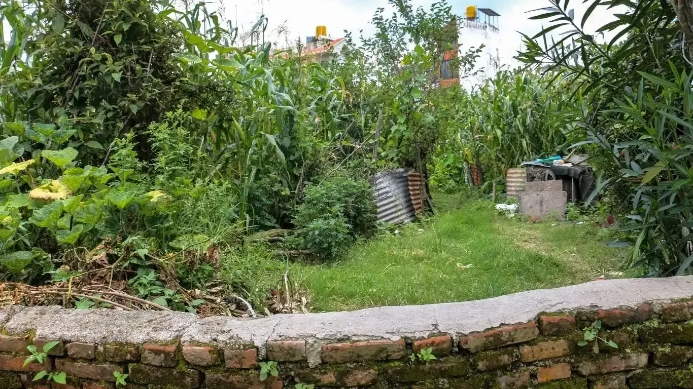 Budhanilkantha land for sale, residential plot Kathmandu, 5 aana land Bhangaal, Karyabinayak land deal, vastu-compliant land Nepal, Kathmandu real estate, land for home Kathmandu