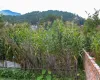 Budhanilkantha land for sale, residential plot Kathmandu, 5 aana land Bhangaal, Karyabinayak land deal, vastu-compliant land Nepal, Kathmandu real estate, land for home Kathmandu
