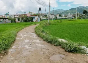 Land for sale in Bhaktapur, Chitrapur Suryabinayak land, Residential land Bhaktapur, Agricultural land near Kathmandu, 5 Aana land Bhaktapur, 1 Ropani land for sale, Land with road and utilities Bhaktapur, Buy land in Ananta Lingeshwar, Scenic plot for house Bhaktapur, Bhaktapur land near highway