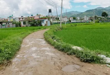 Land for sale in Bhaktapur, Chitrapur Suryabinayak land, Residential land Bhaktapur, Agricultural land near Kathmandu, 5 Aana land Bhaktapur, 1 Ropani land for sale, Land with road and utilities Bhaktapur, Buy land in Ananta Lingeshwar, Scenic plot for house Bhaktapur, Bhaktapur land near highway