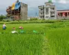 Land for sale in Bhaktapur, Chitrapur Suryabinayak land, Residential land Bhaktapur, Agricultural land near Kathmandu, 5 Aana land Bhaktapur, 1 Ropani land for sale, Land with road and utilities Bhaktapur, Buy land in Ananta Lingeshwar, Scenic plot for house Bhaktapur, Bhaktapur land near highway