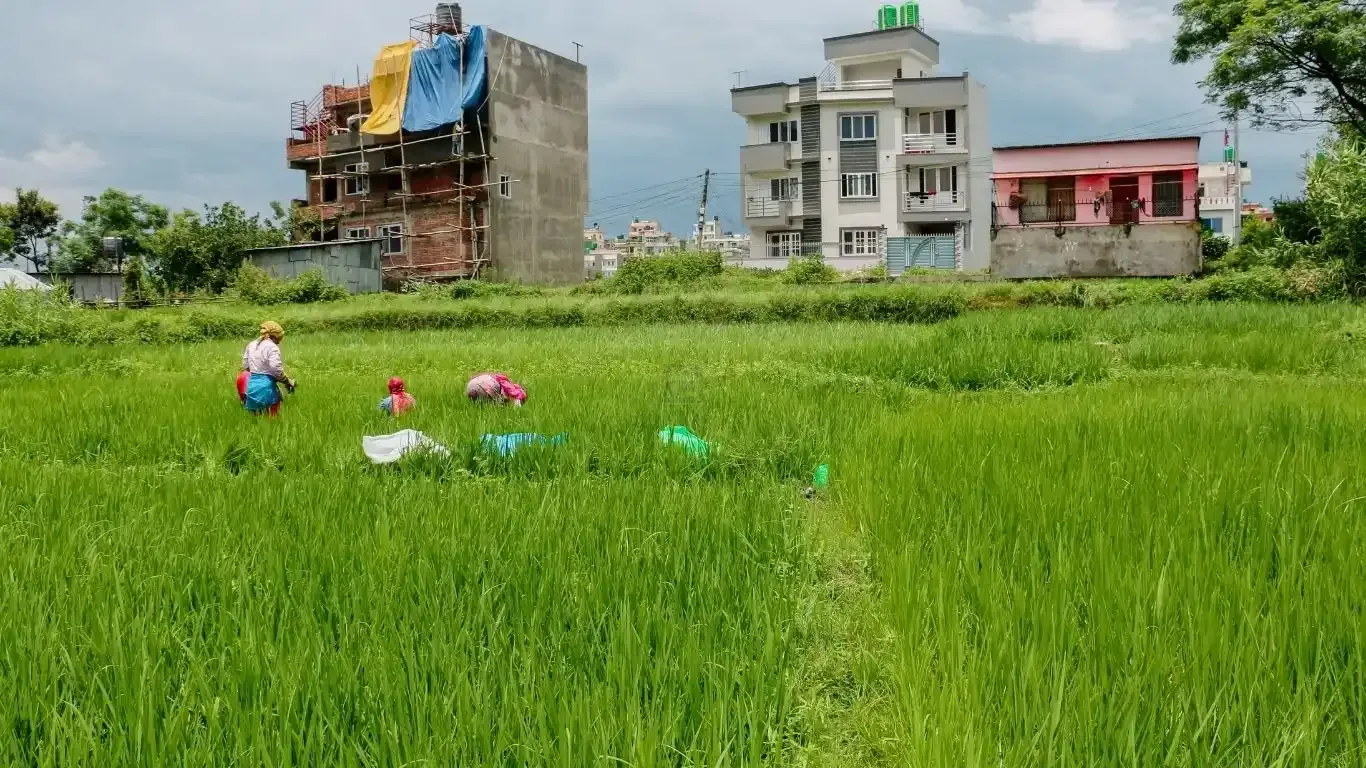 Land for sale in Bhaktapur, Chitrapur Suryabinayak land, Residential land Bhaktapur, Agricultural land near Kathmandu, 5 Aana land Bhaktapur, 1 Ropani land for sale, Land with road and utilities Bhaktapur, Buy land in Ananta Lingeshwar, Scenic plot for house Bhaktapur, Bhaktapur land near highway