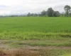 Khairahani land for sale, land near Parsa Bazar Chitwan, industrial land Chitwan, land for school Chitwan, land for warehouse Nepal, 13 kattha land Khairahani, south facing land Nepal, Chitwan plotting land