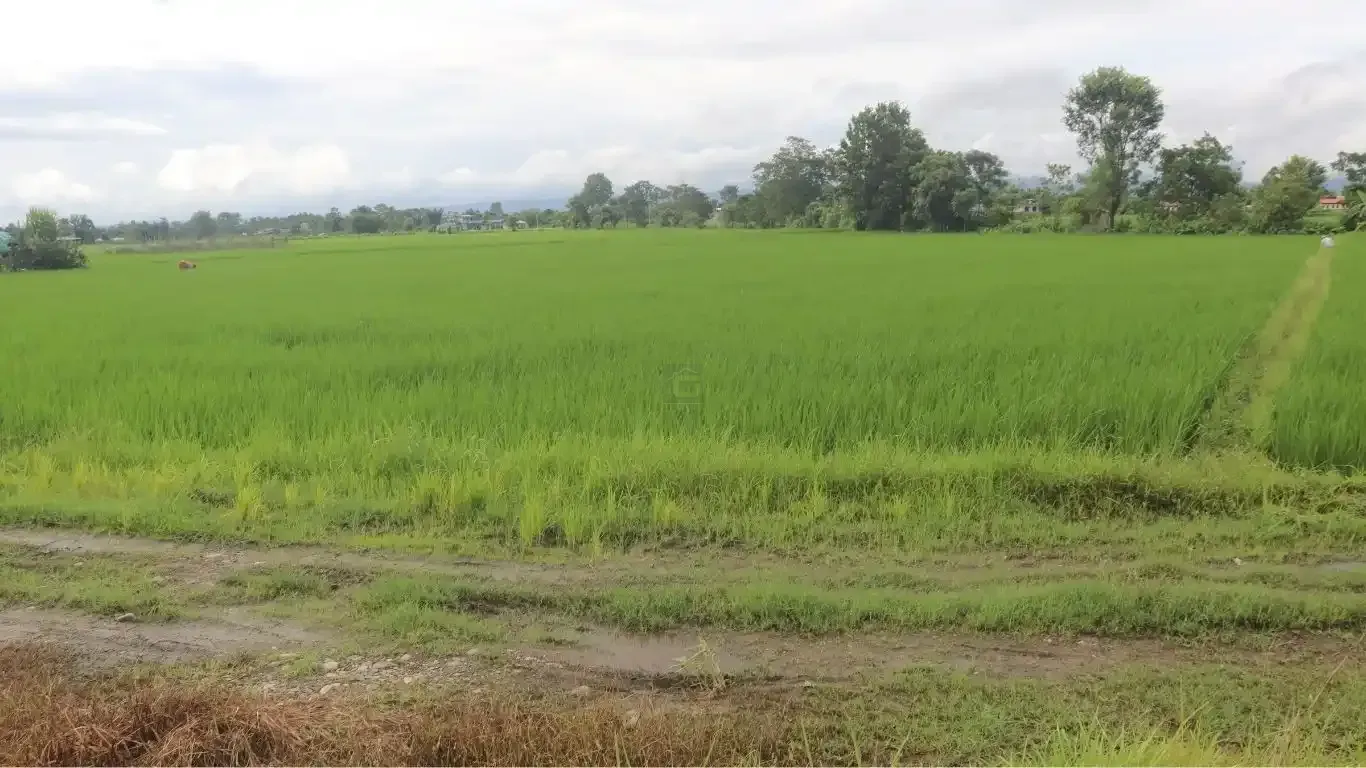 Khairahani land for sale, land near Parsa Bazar Chitwan, industrial land Chitwan, land for school Chitwan, land for warehouse Nepal, 13 kattha land Khairahani, south facing land Nepal, Chitwan plotting land