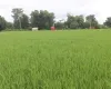 Khairahani land for sale, land near Parsa Bazar Chitwan, industrial land Chitwan, land for school Chitwan, land for warehouse Nepal, 13 kattha land Khairahani, south facing land Nepal, Chitwan plotting land