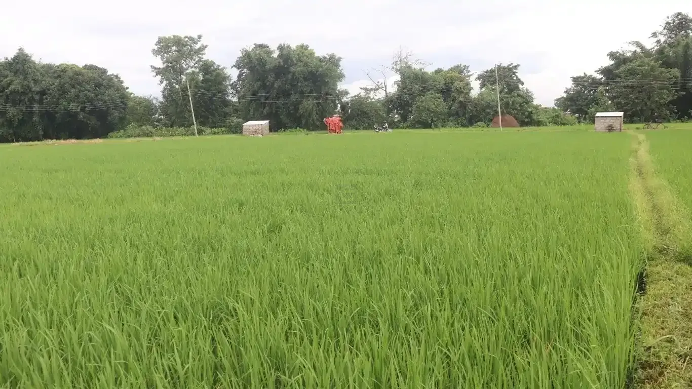 Khairahani land for sale, land near Parsa Bazar Chitwan, industrial land Chitwan, land for school Chitwan, land for warehouse Nepal, 13 kattha land Khairahani, south facing land Nepal, Chitwan plotting land