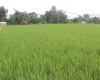 Khairahani land for sale, land near Parsa Bazar Chitwan, industrial land Chitwan, land for school Chitwan, land for warehouse Nepal, 13 kattha land Khairahani, south facing land Nepal, Chitwan plotting land