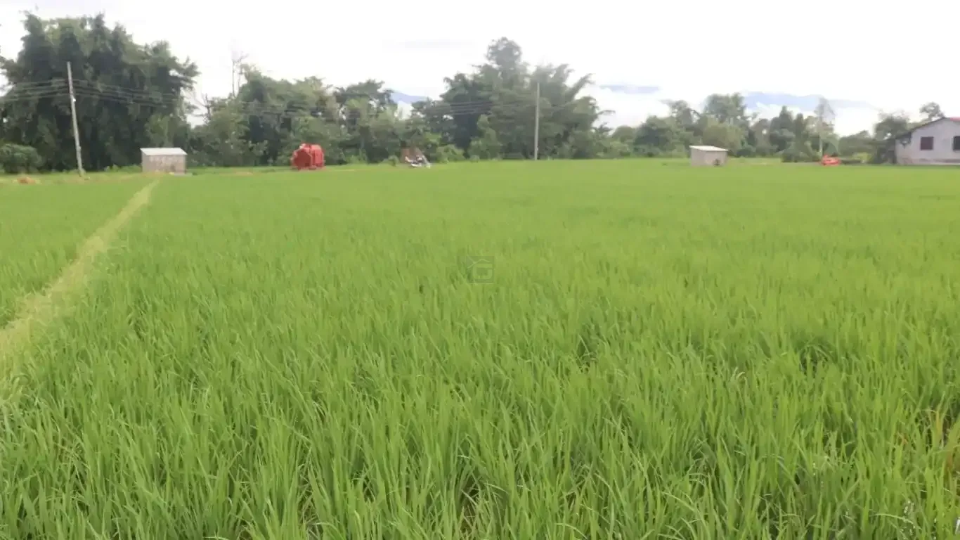 Khairahani land for sale, land near Parsa Bazar Chitwan, industrial land Chitwan, land for school Chitwan, land for warehouse Nepal, 13 kattha land Khairahani, south facing land Nepal, Chitwan plotting land