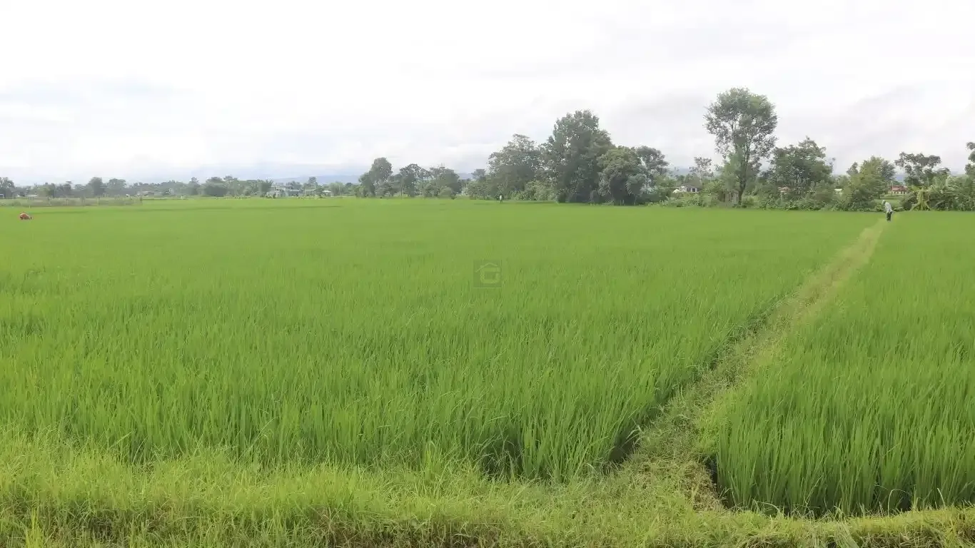 Khairahani land for sale, land near Parsa Bazar Chitwan, industrial land Chitwan, land for school Chitwan, land for warehouse Nepal, 13 kattha land Khairahani, south facing land Nepal, Chitwan plotting land