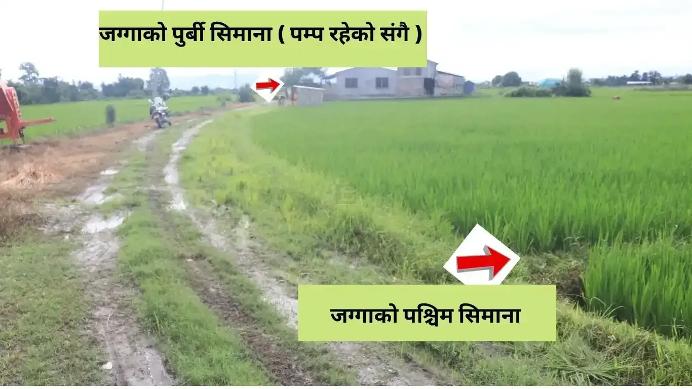 Khairahani land for sale, land near Parsa Bazar Chitwan, industrial land Chitwan, land for school Chitwan, land for warehouse Nepal, 13 kattha land Khairahani, south facing land Nepal, Chitwan plotting land