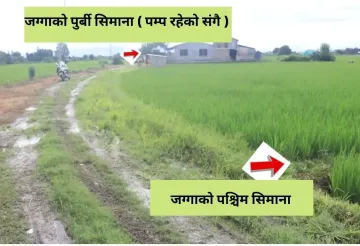 Khairahani land for sale, land near Parsa Bazar Chitwan, industrial land Chitwan, land for school Chitwan, land for warehouse Nepal, 13 kattha land Khairahani, south facing land Nepal, Chitwan plotting land