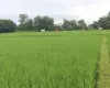 Khairahani land for sale, land near Parsa Bazar Chitwan, industrial land Chitwan, land for school Chitwan, land for warehouse Nepal, 13 kattha land Khairahani, south facing land Nepal, Chitwan plotting land