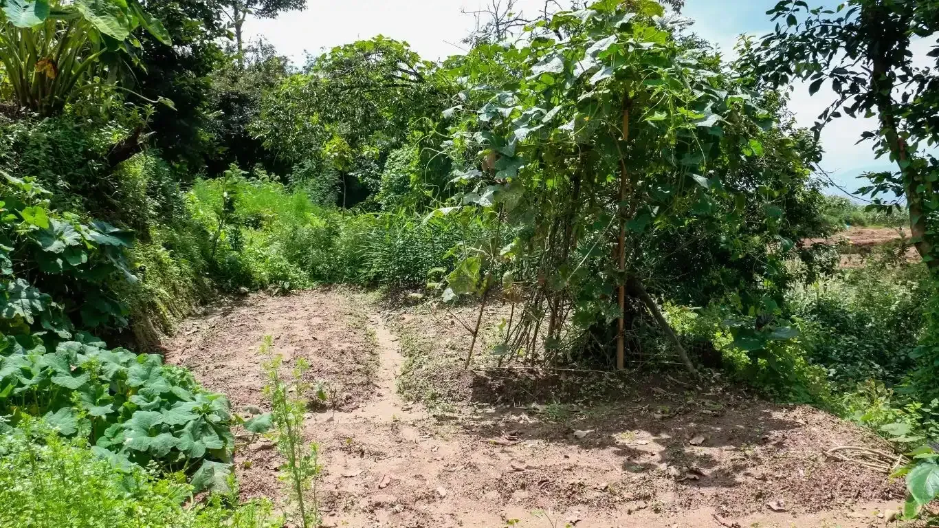 Land for sale Nagarkot Bhaktapur, Property with house Ghadgade Bhaktapur, Scenic land near Sunrise Tole Nagarkot, Buy land near Brahma Kumari Bhaktapur, Land with Himalaya view Nagarkot, Homestay running land Bhaktapur, House and land deal near Nagarkot
