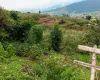 Land for sale Nagarkot Bhaktapur, Property with house Ghadgade Bhaktapur, Scenic land near Sunrise Tole Nagarkot, Buy land near Brahma Kumari Bhaktapur, Land with Himalaya view Nagarkot, Homestay running land Bhaktapur, House and land deal near Nagarkot