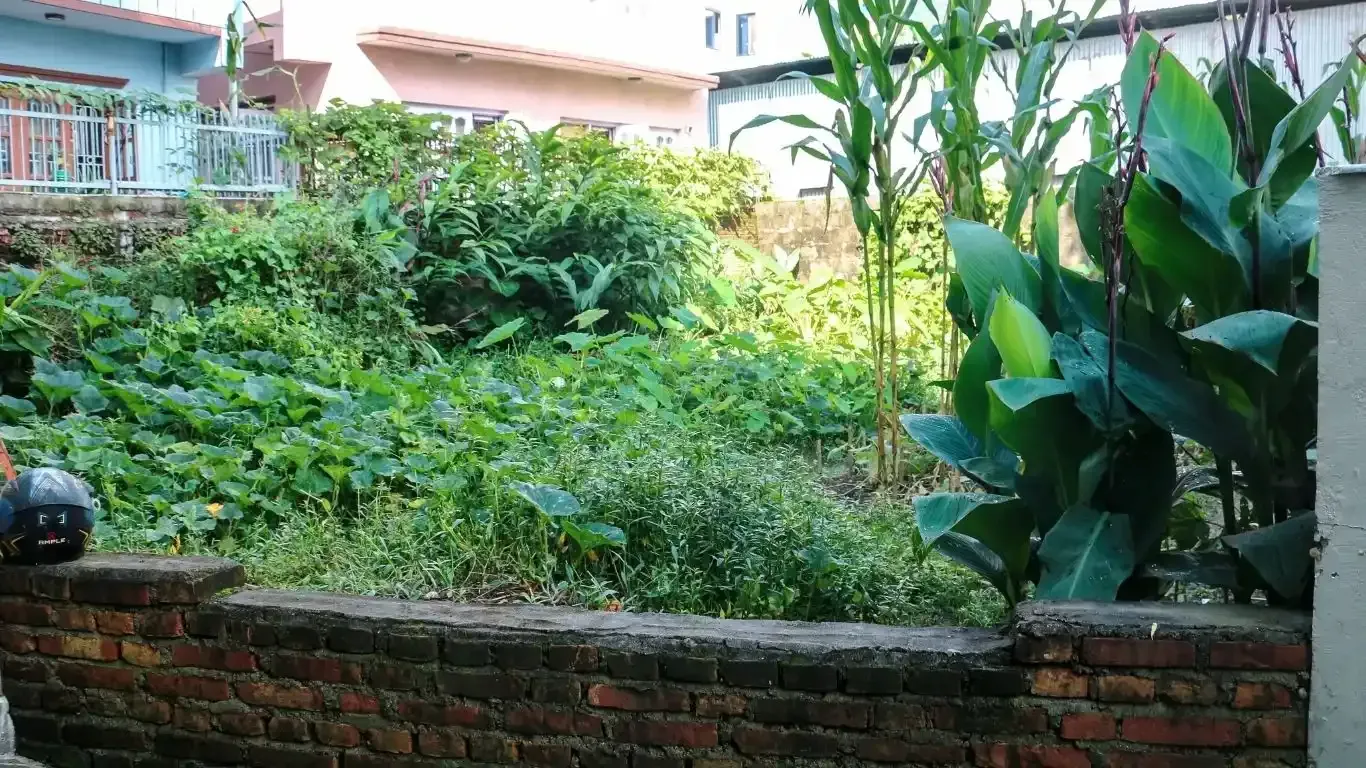 residential land Kathmandu, land for sale Raniban Town Planning, Bijayanagar Height plot, 4 aana land Kathmandu, east facing land Kathmandu, land with 10 ft road, Mohoda 32.3 ft land, Nagarjun property, Kathmandu real estate, land near Banasthali Chowk