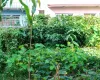 residential land Kathmandu, land for sale Raniban Town Planning, Bijayanagar Height plot, 4 aana land Kathmandu, east facing land Kathmandu, land with 10 ft road, Mohoda 32.3 ft land, Nagarjun property, Kathmandu real estate, land near Banasthali Chowk
