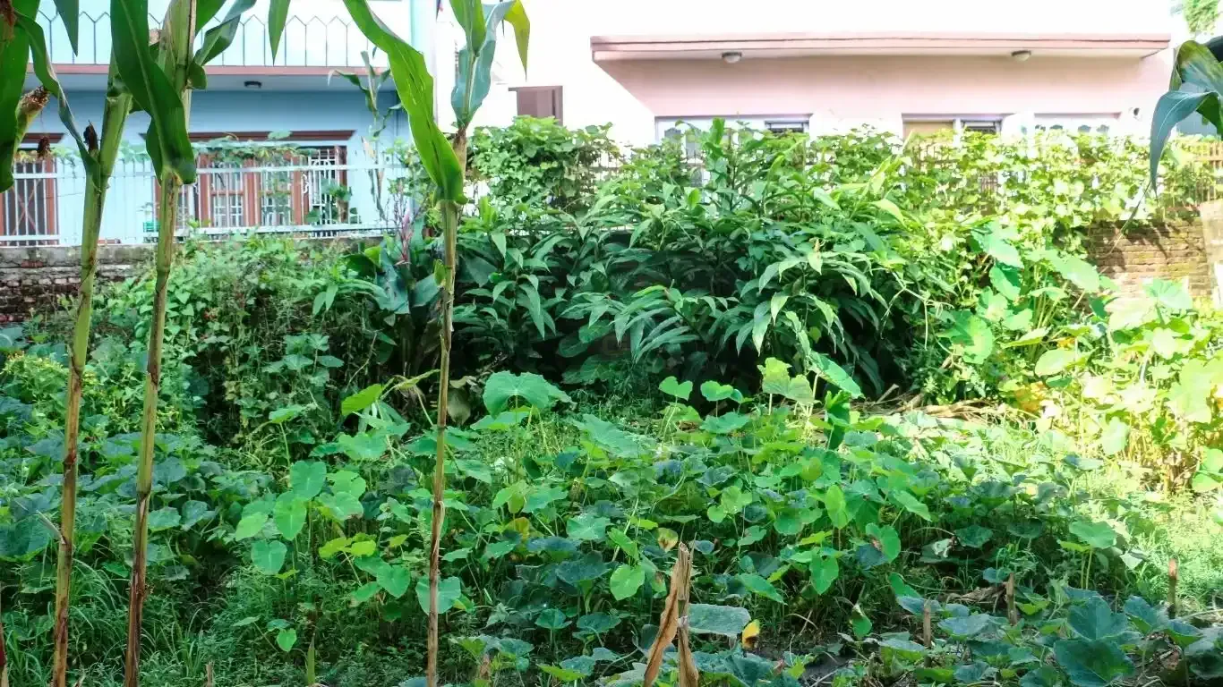 residential land Kathmandu, land for sale Raniban Town Planning, Bijayanagar Height plot, 4 aana land Kathmandu, east facing land Kathmandu, land with 10 ft road, Mohoda 32.3 ft land, Nagarjun property, Kathmandu real estate, land near Banasthali Chowk