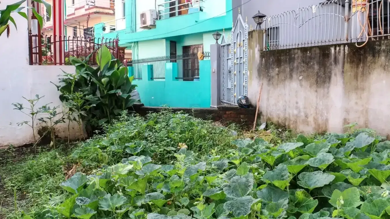 residential land Kathmandu, land for sale Raniban Town Planning, Bijayanagar Height plot, 4 aana land Kathmandu, east facing land Kathmandu, land with 10 ft road, Mohoda 32.3 ft land, Nagarjun property, Kathmandu real estate, land near Banasthali Chowk