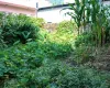 residential land Kathmandu, land for sale Raniban Town Planning, Bijayanagar Height plot, 4 aana land Kathmandu, east facing land Kathmandu, land with 10 ft road, Mohoda 32.3 ft land, Nagarjun property, Kathmandu real estate, land near Banasthali Chowk
