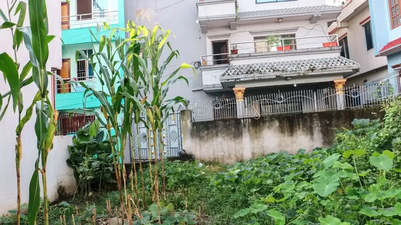 residential land Kathmandu, land for sale Raniban Town Planning, Bijayanagar Height plot, 4 aana land Kathmandu, east facing land Kathmandu, land with 10 ft road, Mohoda 32.3 ft land, Nagarjun property, Kathmandu real estate, land near Banasthali Chowk