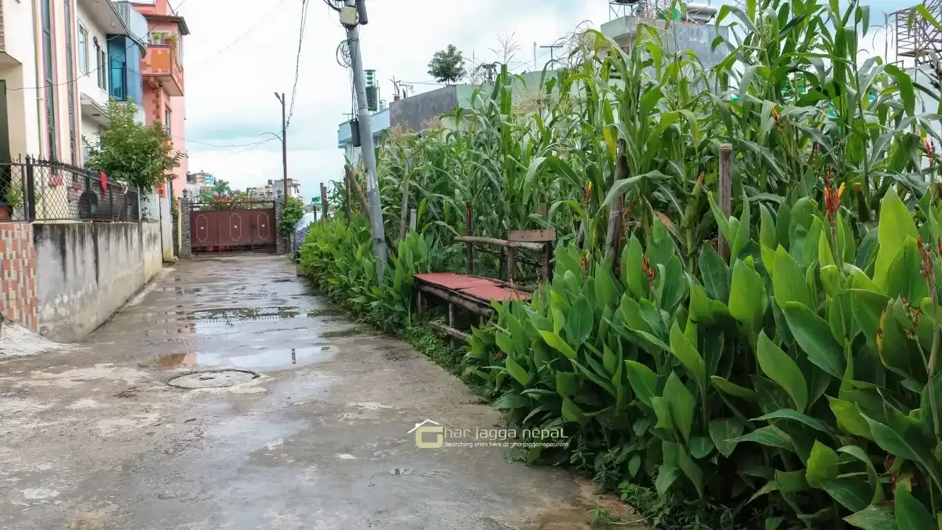 Jarankhu land for sale, Annapurna Tole land, east-facing plot Kathmandu, 4 aana land Kathmandu, residential land Tarakeshwor, Kathmandu land deals, Jarankhu real estate, 16 ft road land Kathmandu, Nepal property for sale