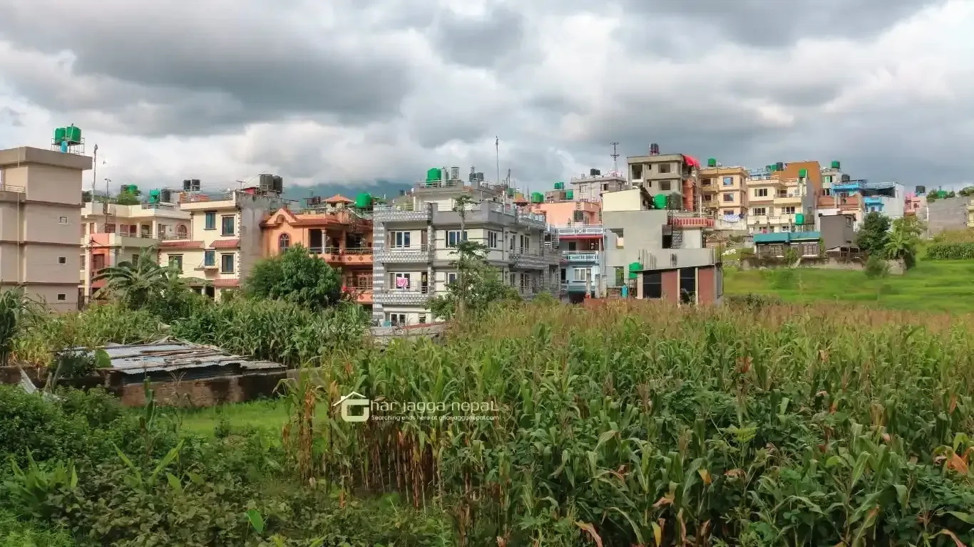Jarankhu land for sale, Annapurna Tole land, east-facing plot Kathmandu, 4 aana land Kathmandu, residential land Tarakeshwor, Kathmandu land deals, Jarankhu real estate, 16 ft road land Kathmandu, Nepal property for sale