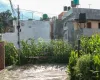 Jarankhu land for sale, Annapurna Tole land, east-facing plot Kathmandu, 4 aana land Kathmandu, residential land Tarakeshwor, Kathmandu land deals, Jarankhu real estate, 16 ft road land Kathmandu, Nepal property for sale