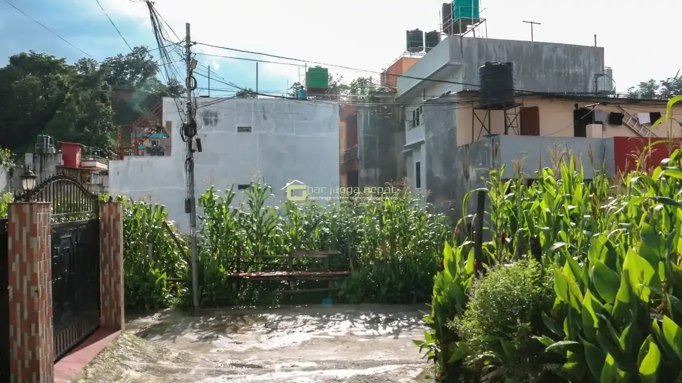 Jarankhu land for sale, Annapurna Tole land, east-facing plot Kathmandu, 4 aana land Kathmandu, residential land Tarakeshwor, Kathmandu land deals, Jarankhu real estate, 16 ft road land Kathmandu, Nepal property for sale