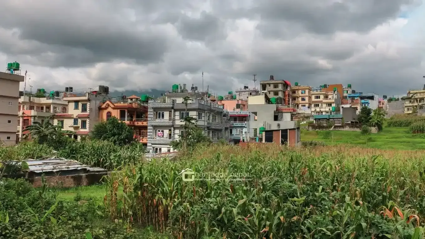 Jarankhu land for sale, Annapurna Tole land, east-facing plot Kathmandu, 4 aana land Kathmandu, residential land Tarakeshwor, Kathmandu land deals, Jarankhu real estate, 16 ft road land Kathmandu, Nepal property for sale