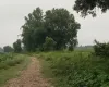 Madhuban land for sale, Bardiya land, 10 kaththa land, east-facing land Bardiya, Madhuban municipality property, gravel road land Bardiya, cheap land Bardiya, Bardiya real estate, 8 meter road frontage land, direct owner sale Bardiya