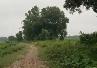 Madhuban land for sale, Bardiya land, 10 kaththa land, east-facing land Bardiya, Madhuban municipality property, gravel road land Bardiya, cheap land Bardiya, Bardiya real estate, 8 meter road frontage land, direct owner sale Bardiya