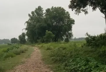 Madhuban land for sale, Bardiya land, 10 kaththa land, east-facing land Bardiya, Madhuban municipality property, gravel road land Bardiya, cheap land Bardiya, Bardiya real estate, 8 meter road frontage land, direct owner sale Bardiya