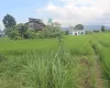 Chitwan land for sale, Birendranagar land, Milan Chowk plot, east-facing land Chitwan, residential land near East-West Highway, buy land Chitwan, Chitwan real estate, Birendranagar property, 6m road land Chitwan, Rapti-7 land