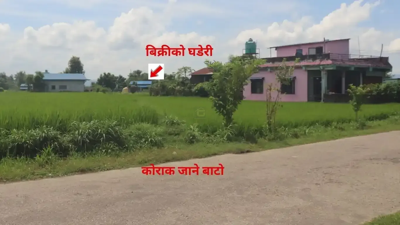 Chitwan land for sale, Birendranagar land, Milan Chowk plot, east-facing land Chitwan, residential land near East-West Highway, buy land Chitwan, Chitwan real estate, Birendranagar property, 6m road land Chitwan, Rapti-7 land