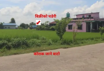Chitwan land for sale, Birendranagar land, Milan Chowk plot, east-facing land Chitwan, residential land near East-West Highway, buy land Chitwan, Chitwan real estate, Birendranagar property, 6m road land Chitwan, Rapti-7 land