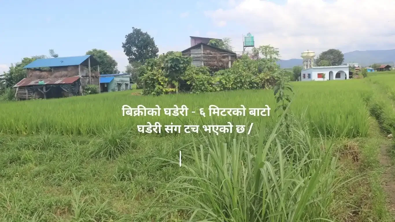 Chitwan land for sale, Birendranagar land, Milan Chowk plot, east-facing land Chitwan, residential land near East-West Highway, buy land Chitwan, Chitwan real estate, Birendranagar property, 6m road land Chitwan, Rapti-7 land