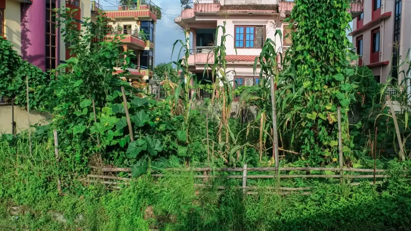 Gokarneshwor land for sale, Naya Pati land Kathmandu, Bipichok residential land, 5 aana land Kathmandu, land near Jorpati Sundarijal road, Kathmandu land buy sell, residential plot Kathmandu, vastu land for sale Nepal