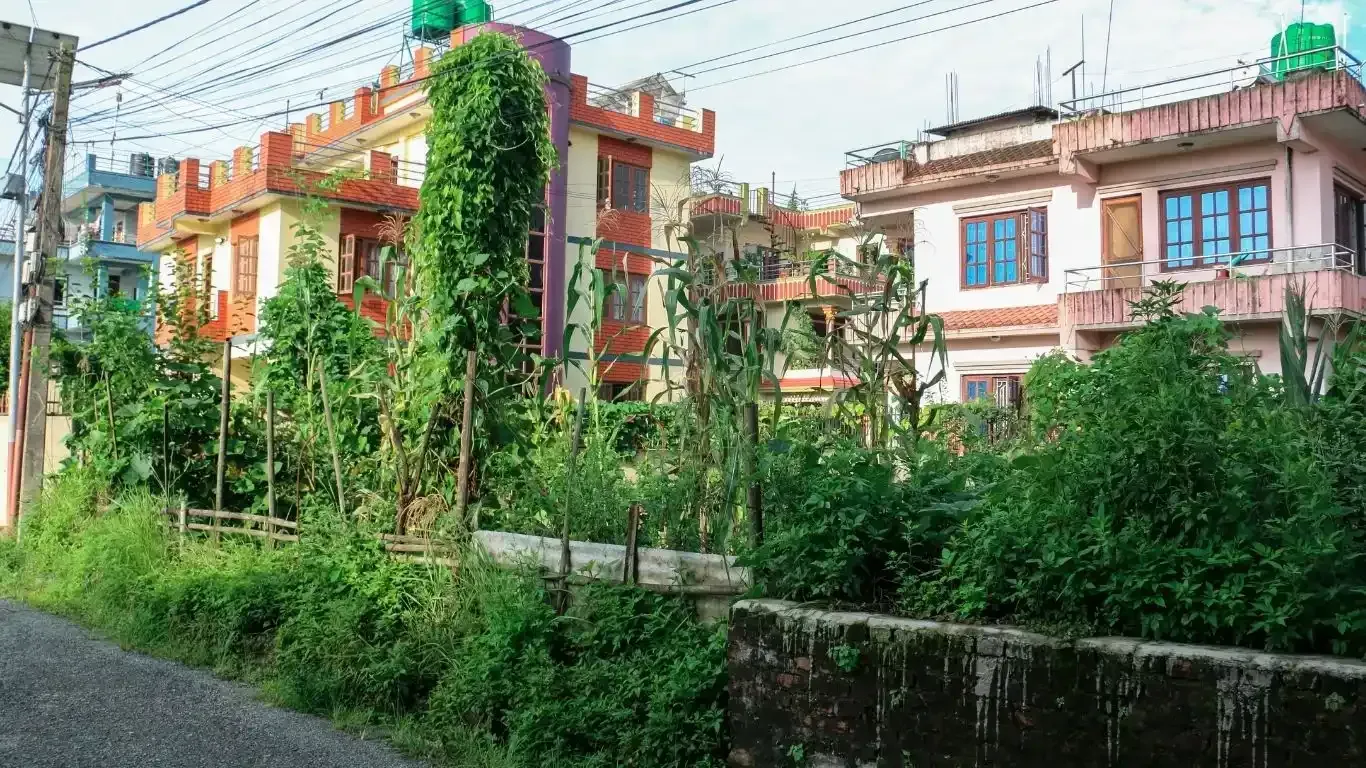 Gokarneshwor land for sale, Naya Pati land Kathmandu, Bipichok residential land, 5 aana land Kathmandu, land near Jorpati Sundarijal road, Kathmandu land buy sell, residential plot Kathmandu, vastu land for sale Nepal