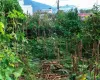 Gokarneshwor land for sale, Naya Pati land Kathmandu, Bipichok residential land, 5 aana land Kathmandu, land near Jorpati Sundarijal road, Kathmandu land buy sell, residential plot Kathmandu, vastu land for sale Nepal